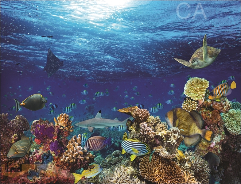 20190111 1 ๑๙๐๑๑๑ 0018