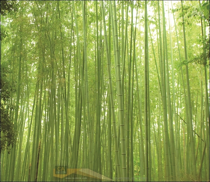 20190111 ๑๙๐๑๑๑ 0006