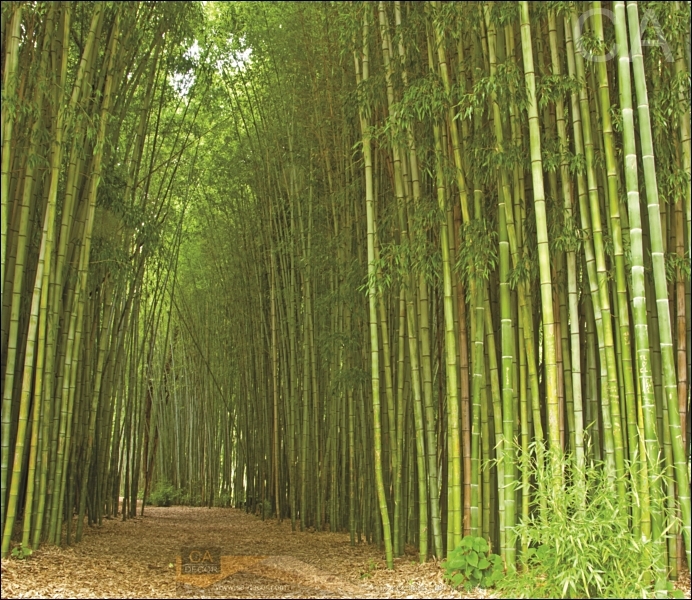 20190111 ๑๙๐๑๑๑ 0007