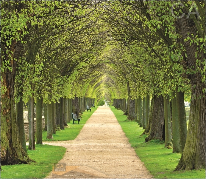 20190111 ๑๙๐๑๑๑ 0008