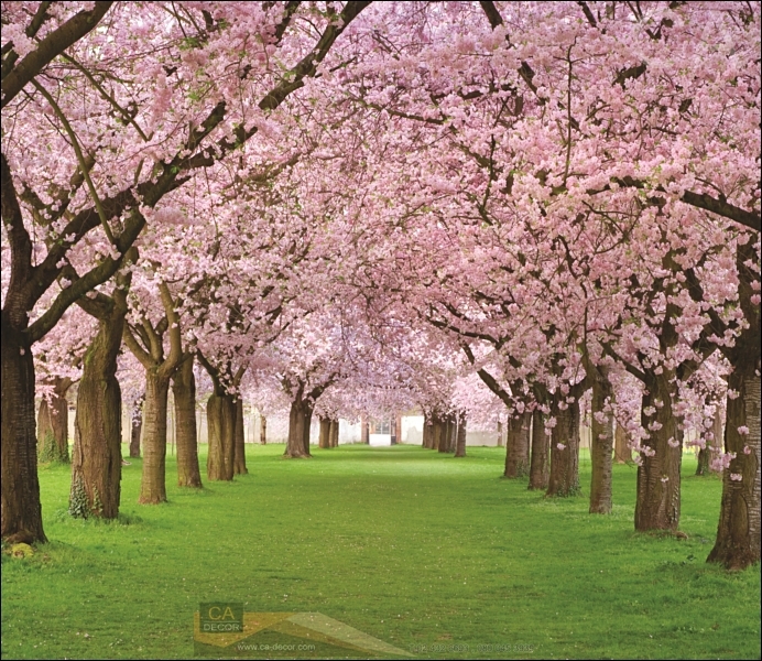 20190111 ๑๙๐๑๑๑ 0011