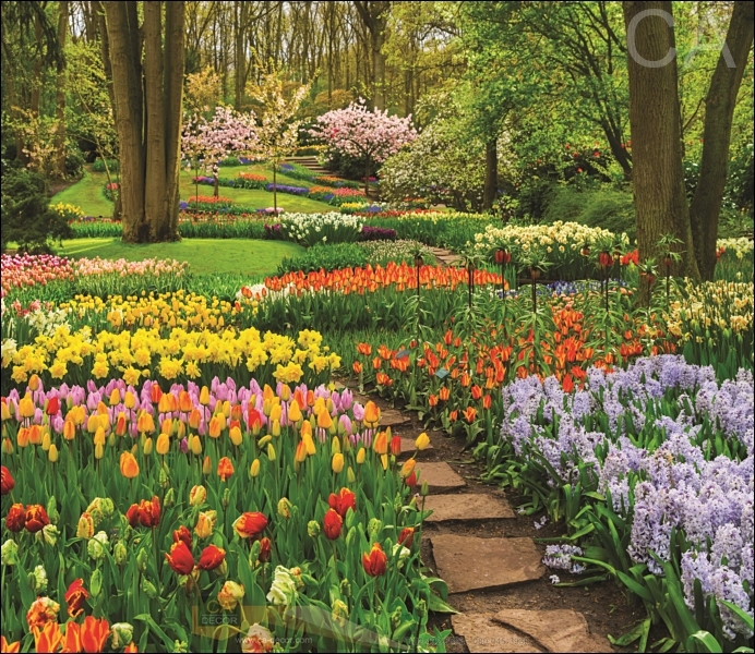 20190111 ๑๙๐๑๑๑ 0013