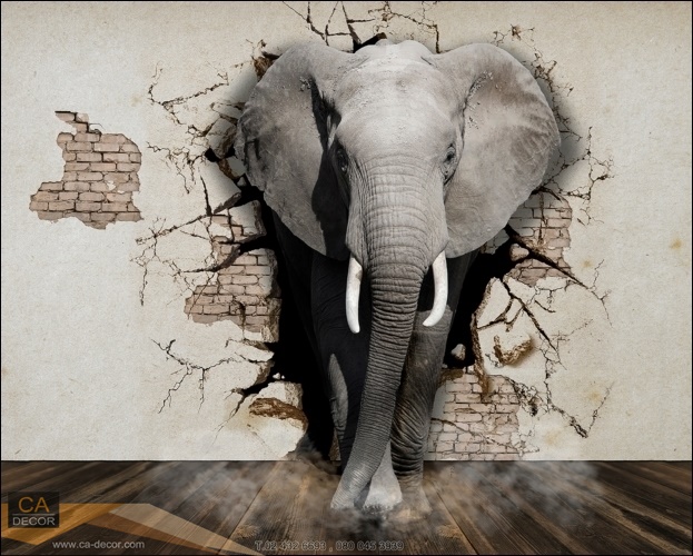 ภาพวาด ช้างทะลุกำแพง 3 มิติ