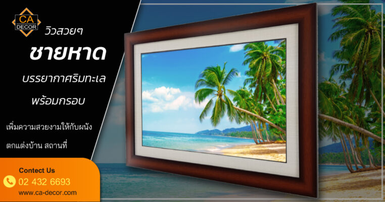 beach coconut tree seaside
