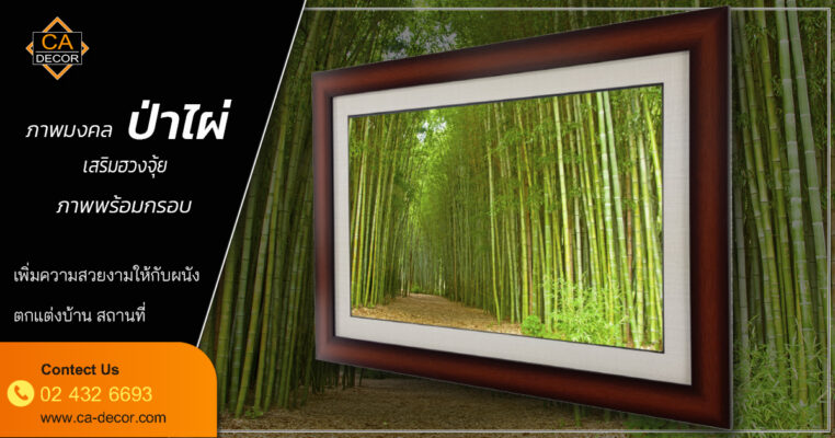 path in bamboo forest