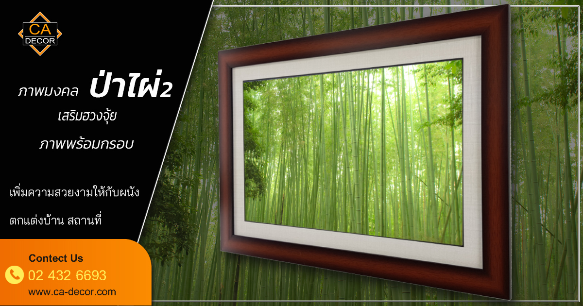 Bamboo frame, bamboo forest