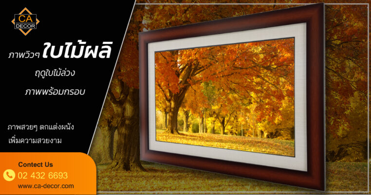 Picture frames, beautiful views, pictures of trees, spring season