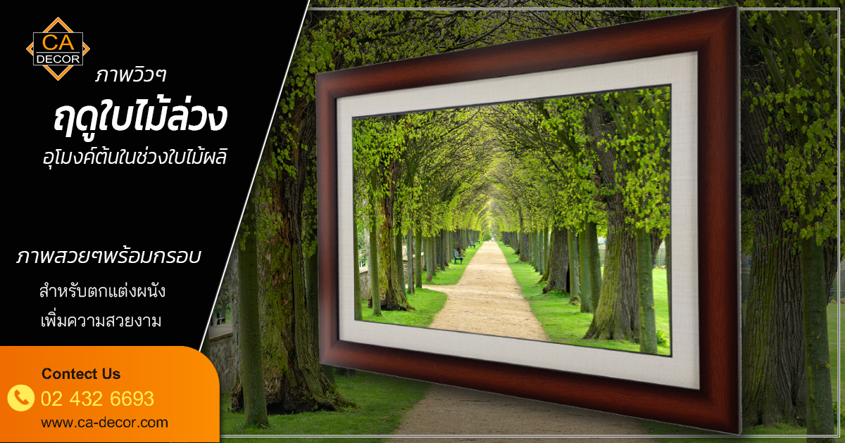 beautiful frame winter trees
