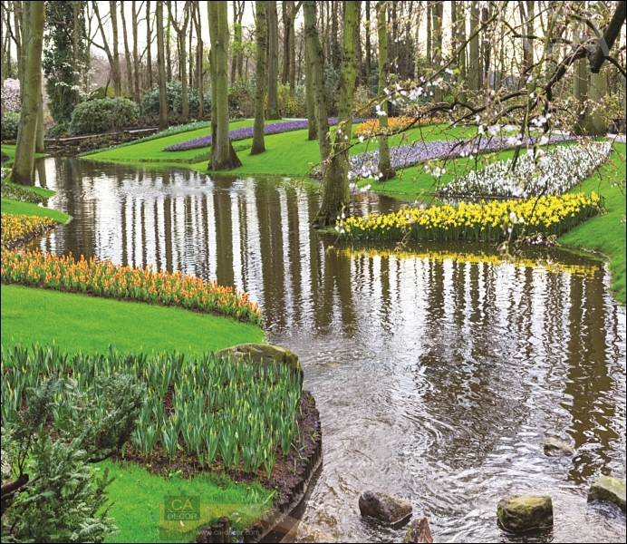 ภาพวิวสวนดอกไม้ริมตลิ่ง