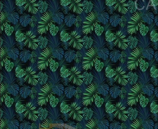 350x280_๑๙๐๑๑๖_0005