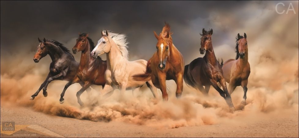 400x290_๑๙๐๑๑๔_0005